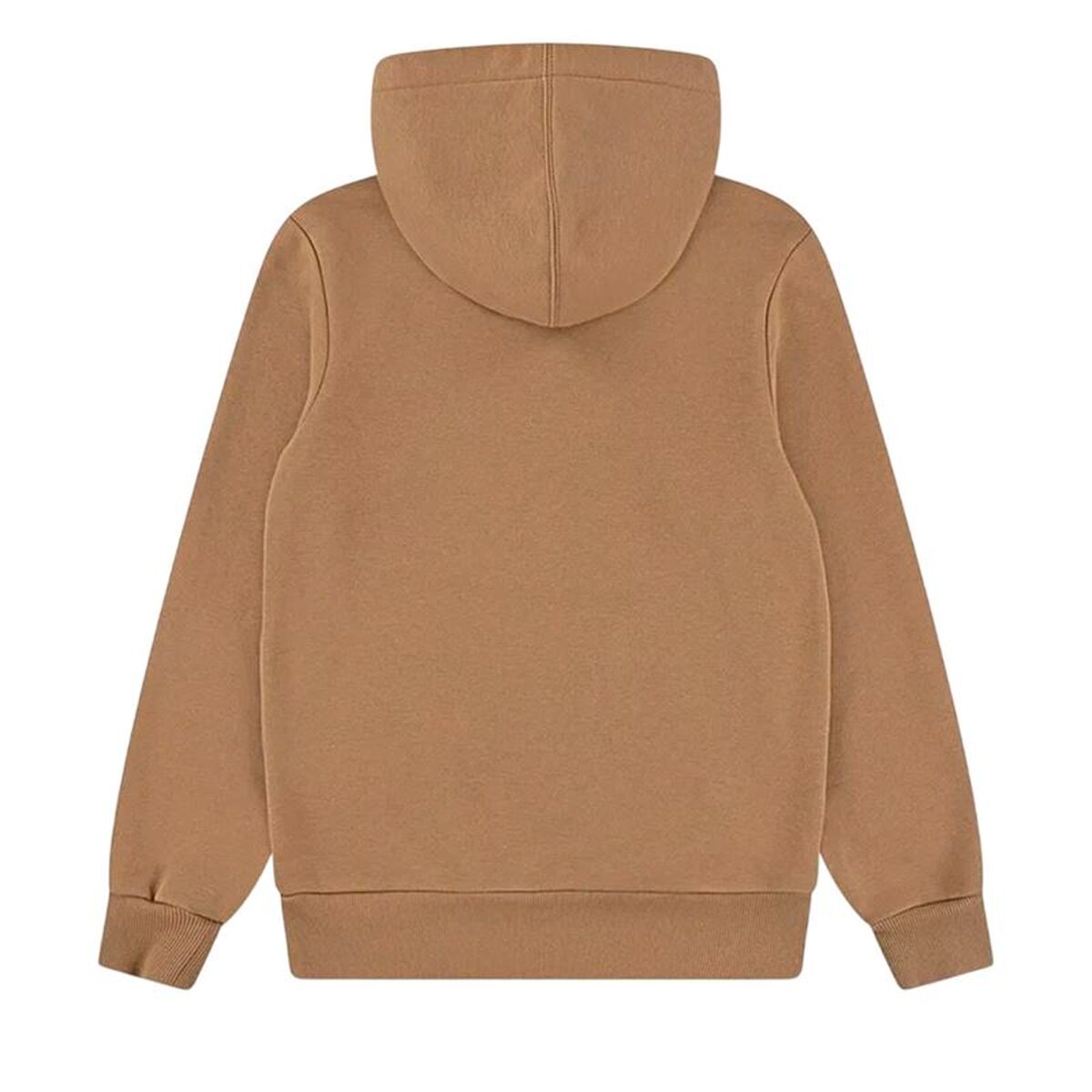 Children’s Hoodie Levi's Batwing Screenprint Hoodie Brown