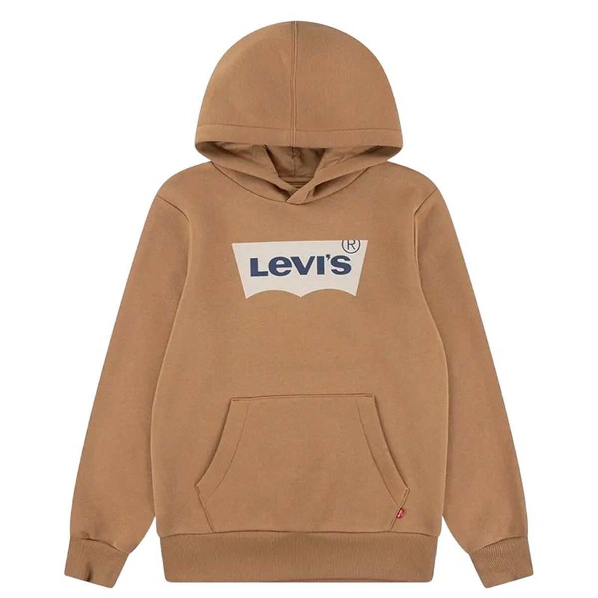 Children’s Hoodie Levi's Batwing Screenprint Hoodie Brown