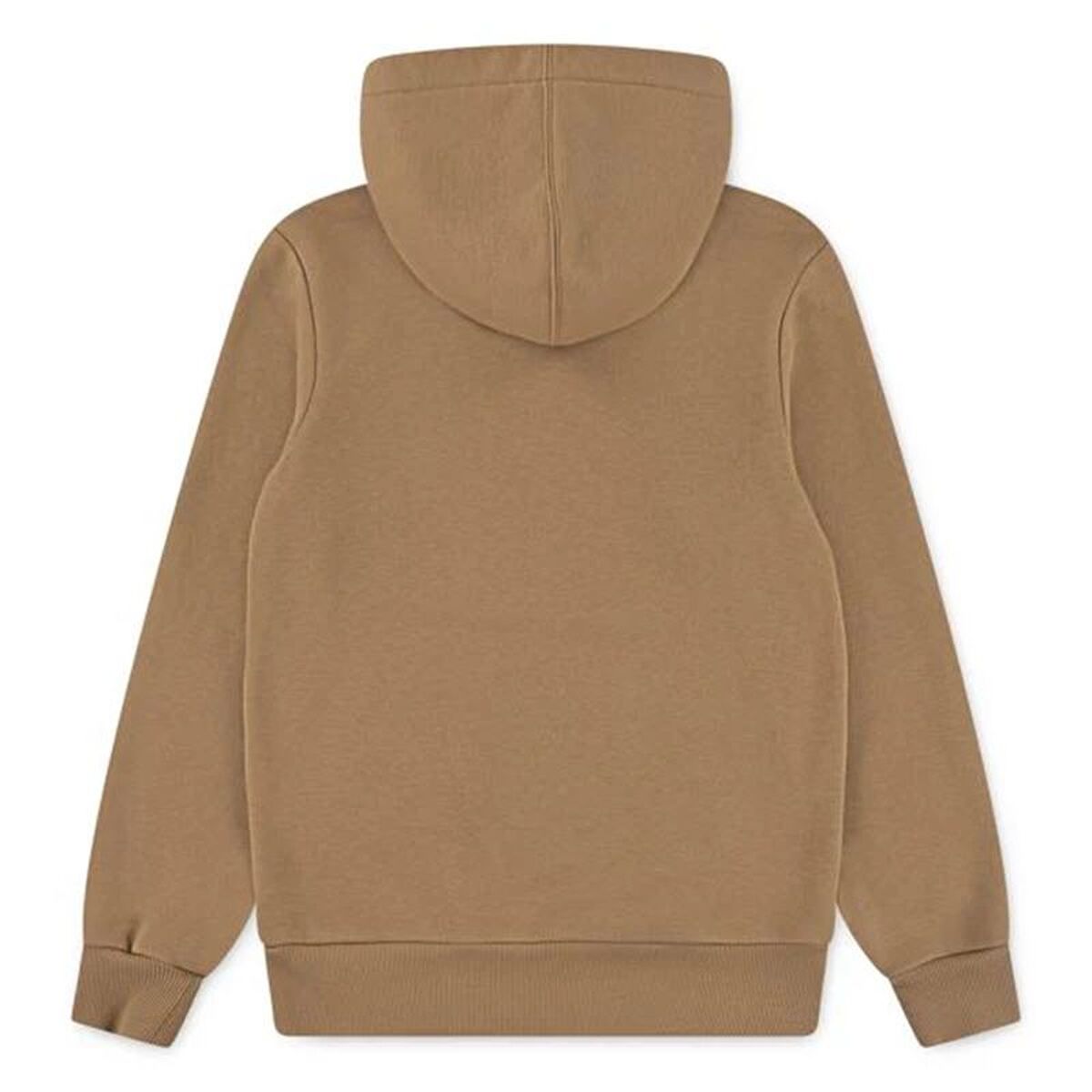 Children’s Hoodie Levi's Lvb Batwing Screenprint Hoodie Brown-3