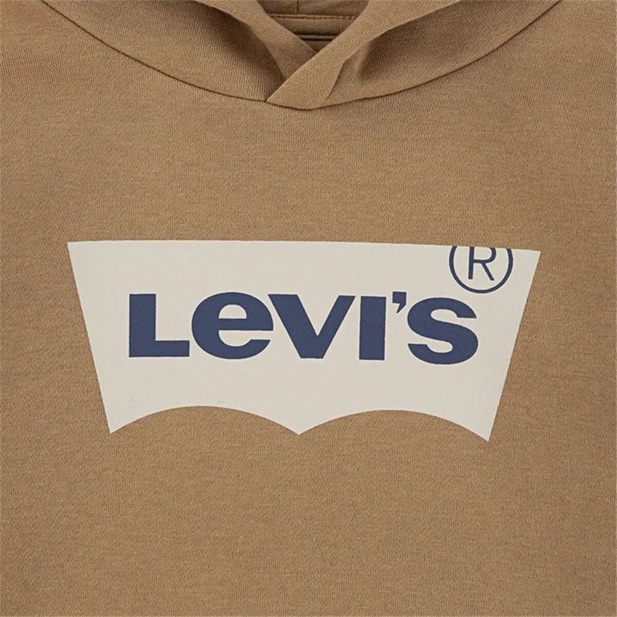 Children’s Hoodie Levi's Lvb Batwing Screenprint Hoodie Brown-2